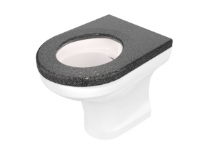 CWC-251 disabled height back-to-wall WC pan range